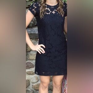 Loft navy lace petite dress